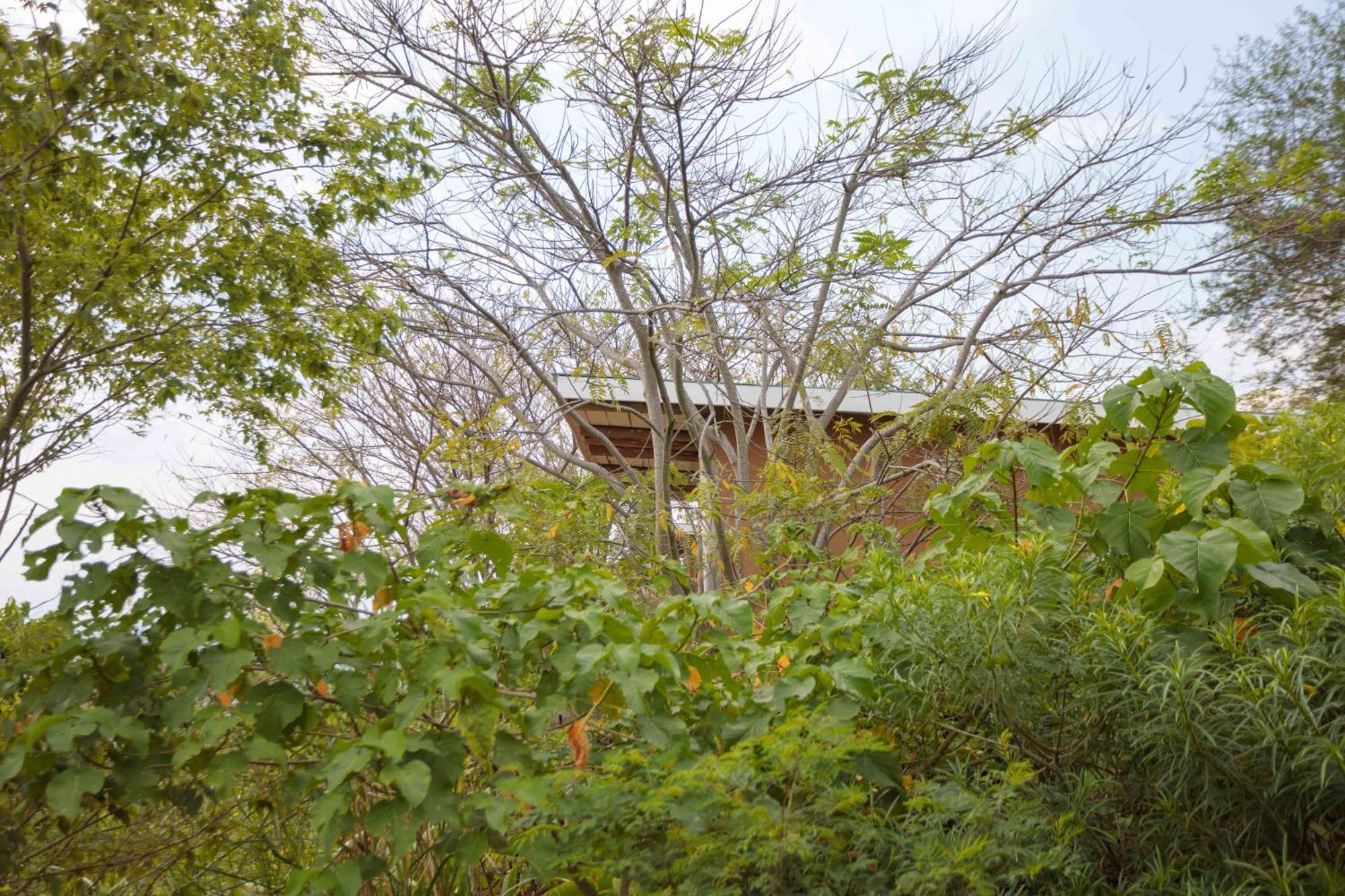 Lake Mwamba Lodge Kasenda Exterior photo